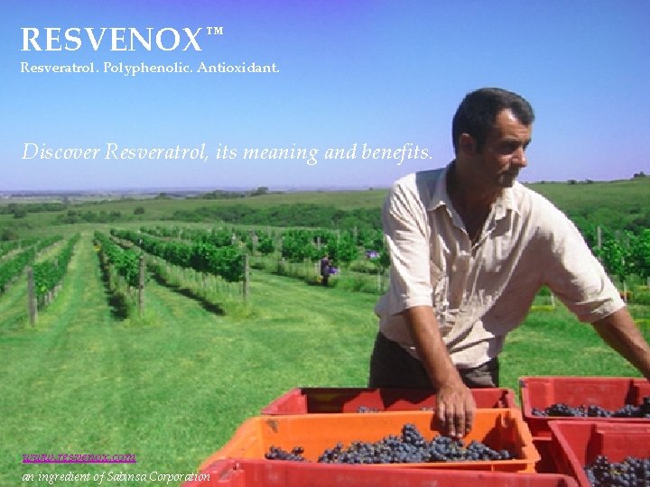 RESVENOX TM Resveratrol. Polyphenolic. Antioxidant. Discover Resveratrol, its meaning and benefits. www. resvenox. com