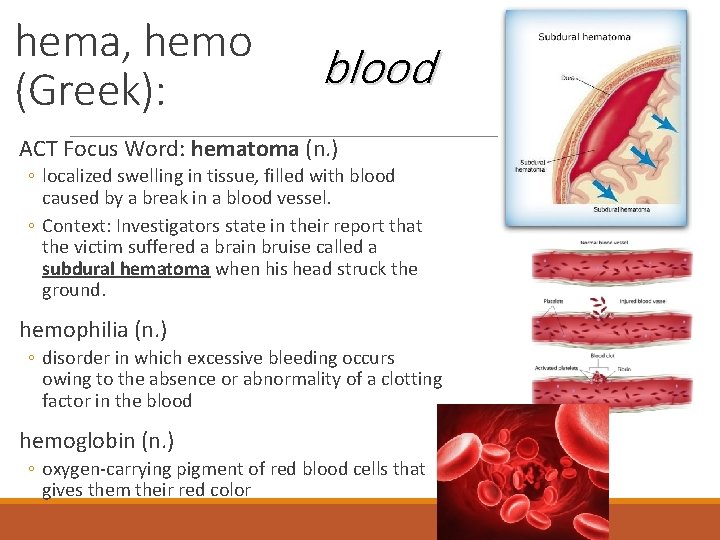 hema, hemo (Greek): blood ACT Focus Word: hematoma (n. ) ◦ localized swelling in