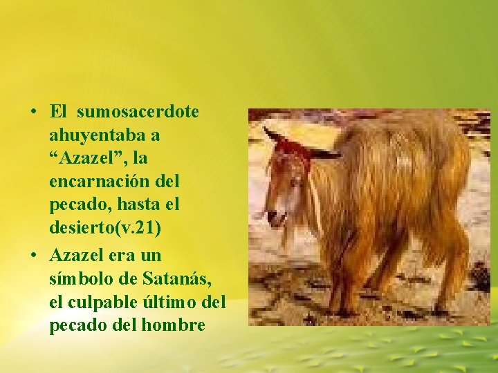 • El sumosacerdote ahuyentaba a “Azazel”, la encarnación del pecado, hasta el desierto(v. • El sumosacerdote ahuyentaba a “Azazel”, la encarnación del pecado, hasta el desierto(v.