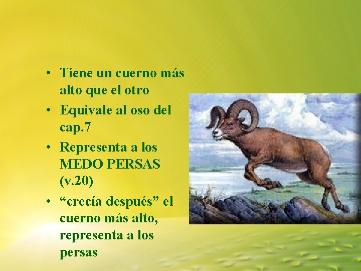 • Tiene un cuerno más alto que el otro • Equivale al oso • Tiene un cuerno más alto que el otro • Equivale al oso