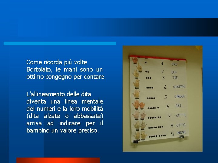 Come ricorda più volte Bortolato, le mani sono un ottimo congegno per contare. L’allineamento