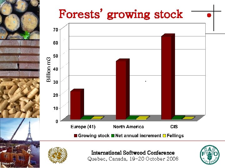 Photo: Stora Enso Billion m 3 Forests’ growing stock Photo: Stora Enso International Softwood