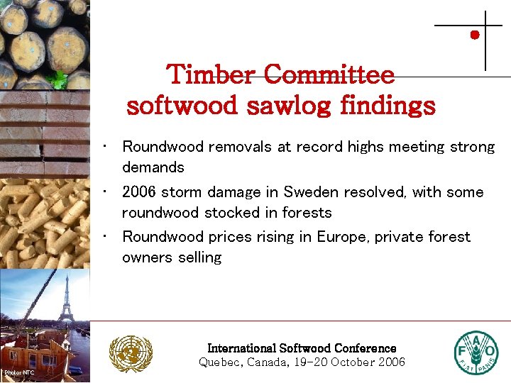 Timber Committee softwood sawlog findings Photo: Stora Enso • Roundwood removals at record highs