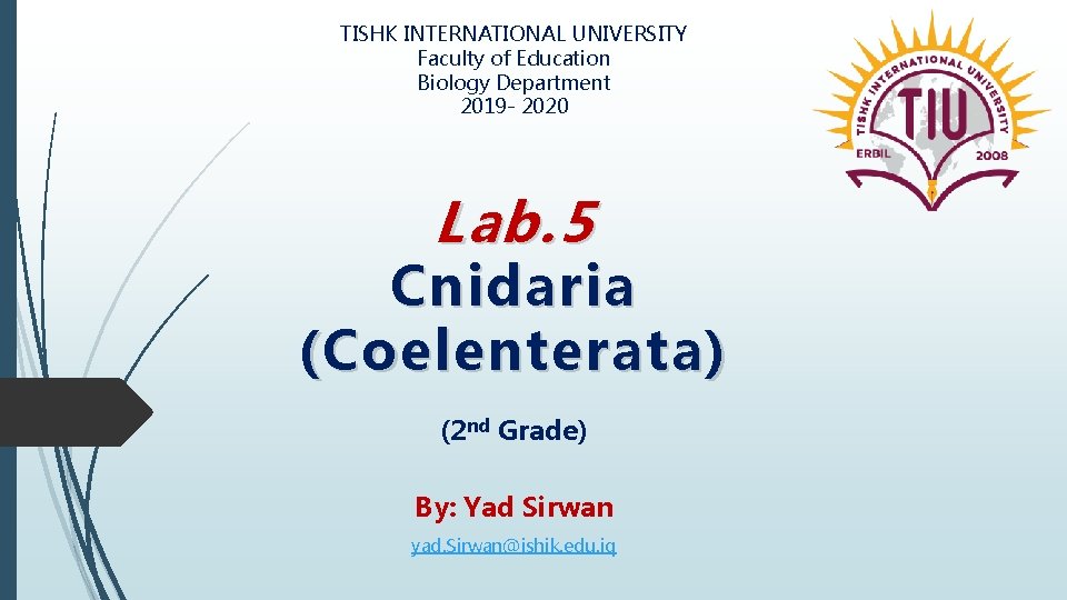 TISHK INTERNATIONAL UNIVERSITY Faculty of Education Biology Department 2019 - 2020 Lab. 5 Cnidaria