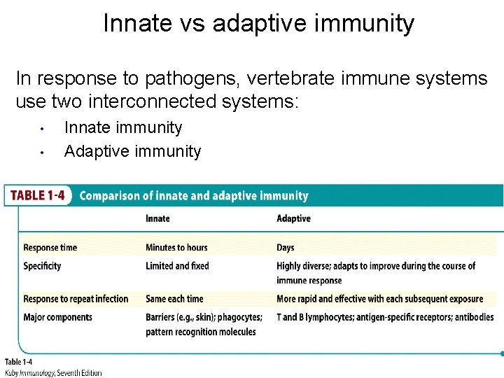 Innate vs adaptive immunity In response to pathogens, vertebrate immune systems use two interconnected