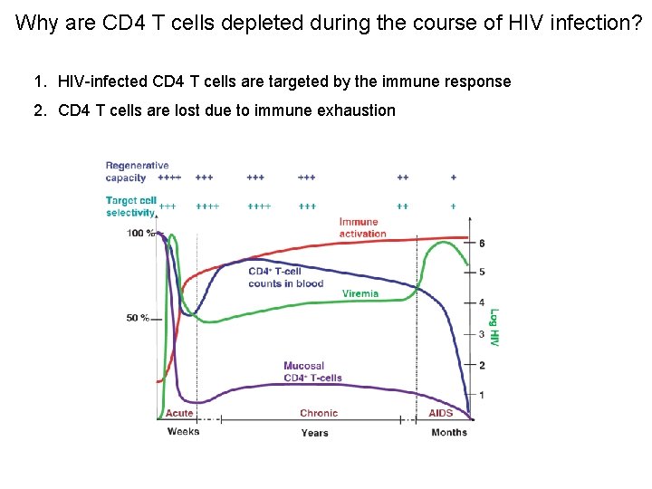 Why are CD 4 T cells depleted during the course of HIV infection? 1.