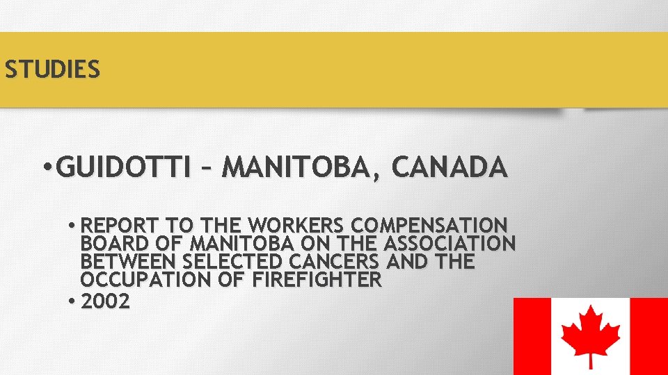 STUDIES • GUIDOTTI – MANITOBA, CANADA • REPORT TO THE WORKERS COMPENSATION BOARD OF