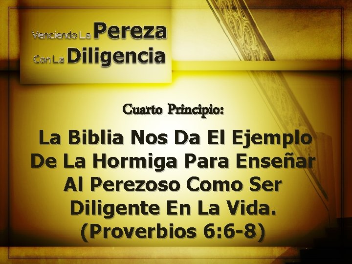 Cuarto Principio: La Biblia Nos Da El Ejemplo De La Hormiga Para Enseñar Al