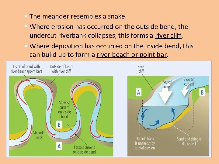 § The meander resembles a snake. § Where erosion has occurred on the outside