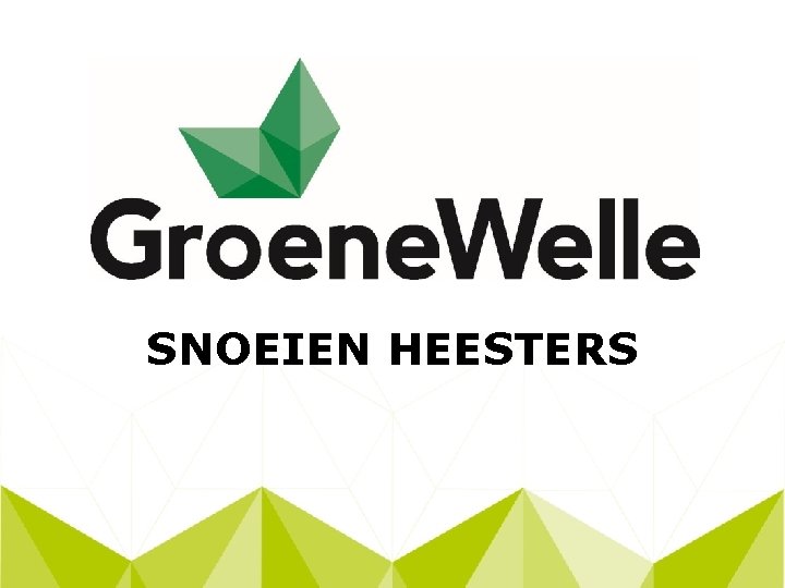 SNOEIEN HEESTERS 