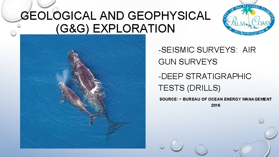 GEOLOGICAL AND GEOPHYSICAL (G&G) EXPLORATION -SEISMIC SURVEYS: AIR GUN SURVEYS -DEEP STRATIGRAPHIC TESTS (DRILLS)