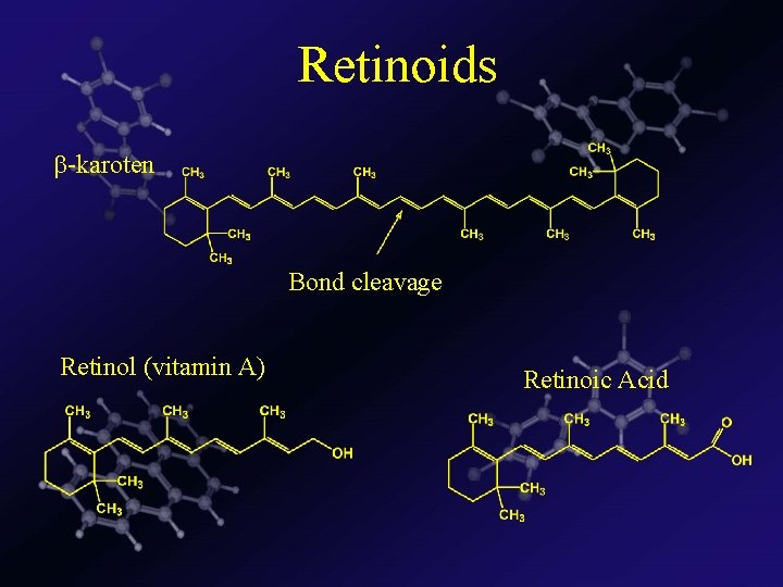  Retinoids -karoten Bond cleavage Retinol (vitamin A) Retinoic Acid 