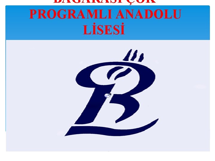 BAĞARASI ÇOK PROGRAMLI ANADOLU LİSESİ 