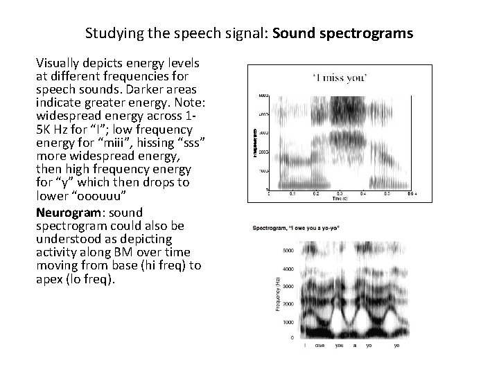 Studying the speech signal: Sound spectrograms Visually depicts energy levels at different frequencies for