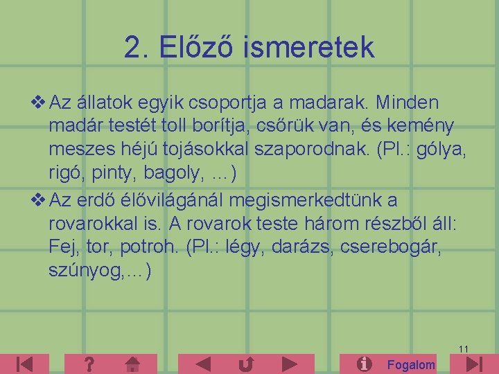 2. Előző ismeretek v Az állatok egyik csoportja a madarak. Minden madár testét toll