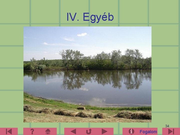 IV. Egyéb 34 Fogalom 