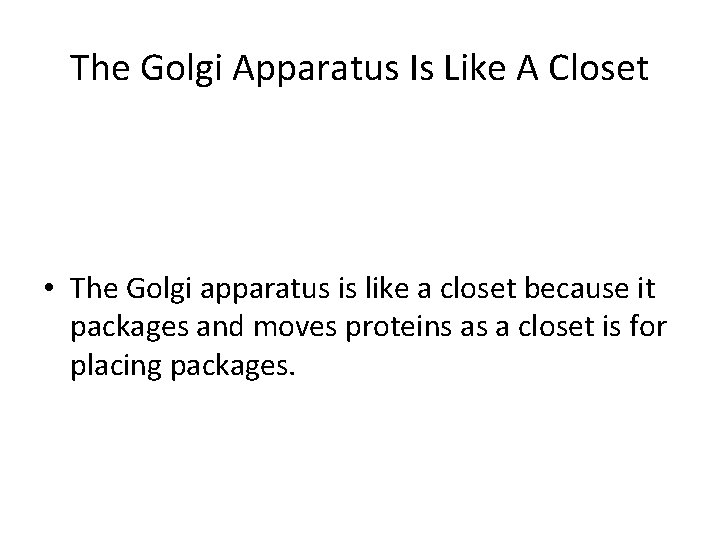 The Golgi Apparatus Is Like A Closet • The Golgi apparatus is like a