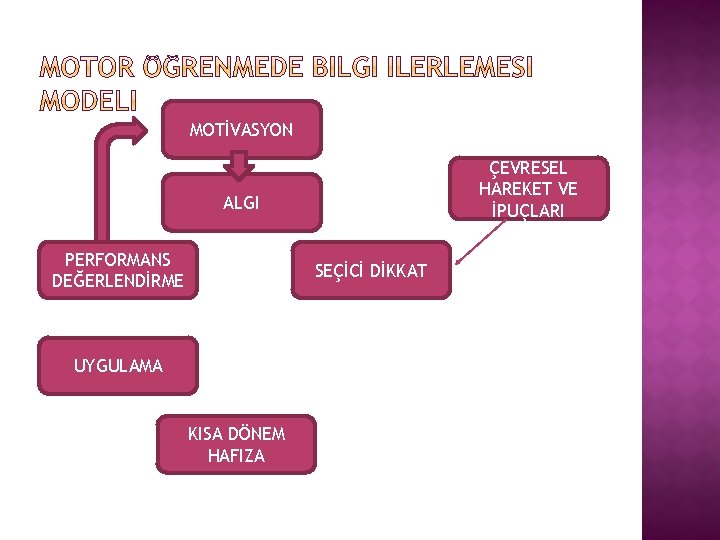 MOTİVASYON ÇEVRESEL HAREKET VE İPUÇLARI ALGI PERFORMANS DEĞERLENDİRME SEÇİCİ DİKKAT UYGULAMA KISA DÖNEM HAFIZA