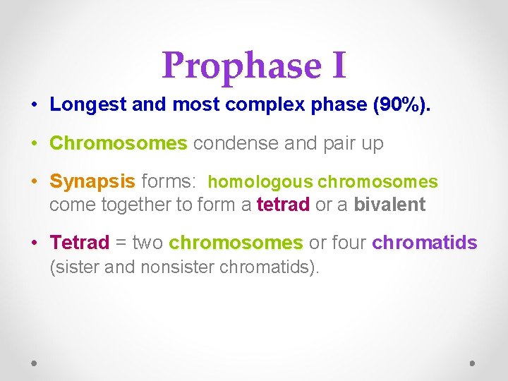 Prophase I • Longest and most complex phase (90%). • Chromosomes condense and pair Prophase I • Longest and most complex phase (90%). • Chromosomes condense and pair