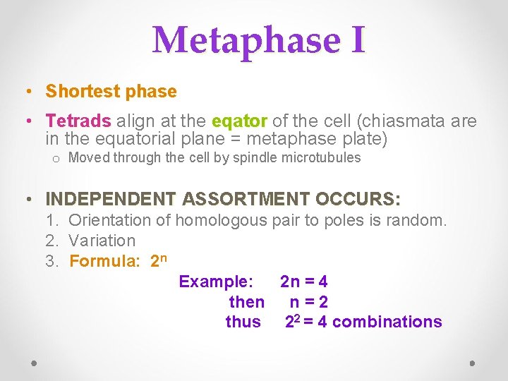 Metaphase I • Shortest phase • Tetrads align at the eqator of the cell