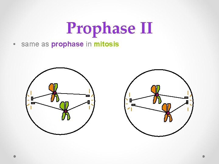 Prophase II • same as prophase in prophase mitosis 