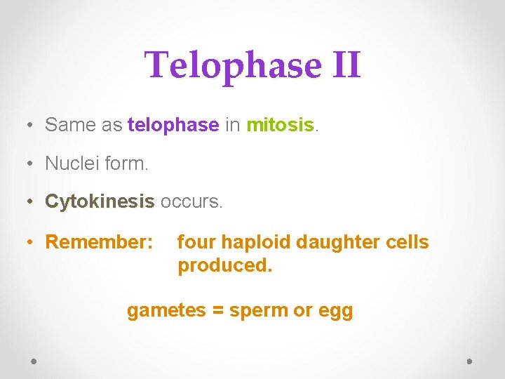 Telophase II • Same as telophase in telophase mitosis • Nuclei form. • Cytokinesis