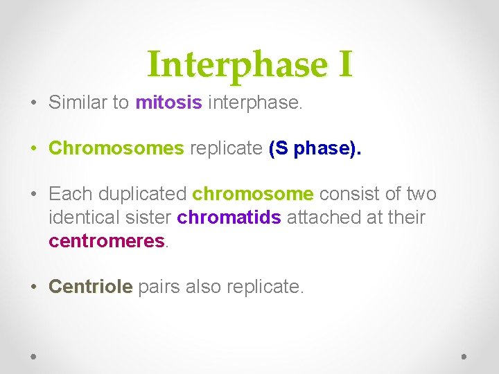 Interphase I • Similar to mitosis interphase. mitosis • Chromosomes replicate (S phase). Chromosomes Interphase I • Similar to mitosis interphase. mitosis • Chromosomes replicate (S phase). Chromosomes