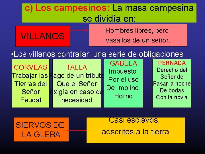 c) Los campesinos: La masa campesina se dividía en: VILLANOS Hombres libres, pero vasallos