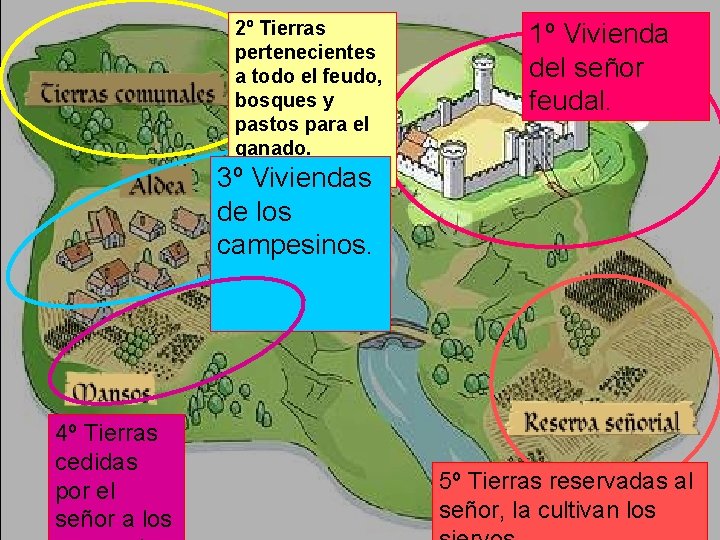 2º Tierras pertenecientes a todo el feudo, bosques y pastos para el ganado. 1º