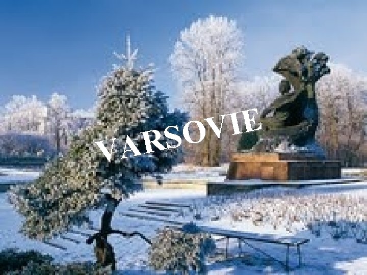 E I V O S R A V E I V O S R A V