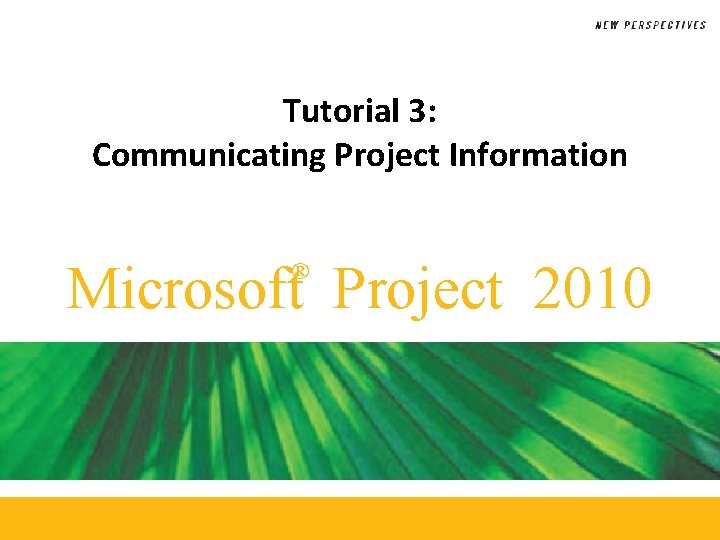 Tutorial 3: Communicating Project Information Microsoft Project 2010 ® 