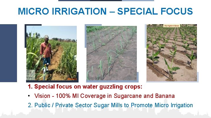 MICRO IRRIGATION – SPECIAL FOCUS 1. Special focus on water guzzling crops: • Vision