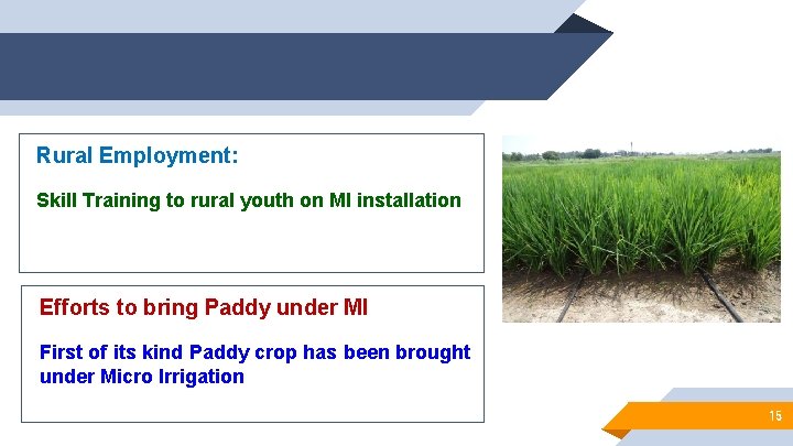 Rural Employment: Skill Training to rural youth on MI installation Efforts to bring Paddy