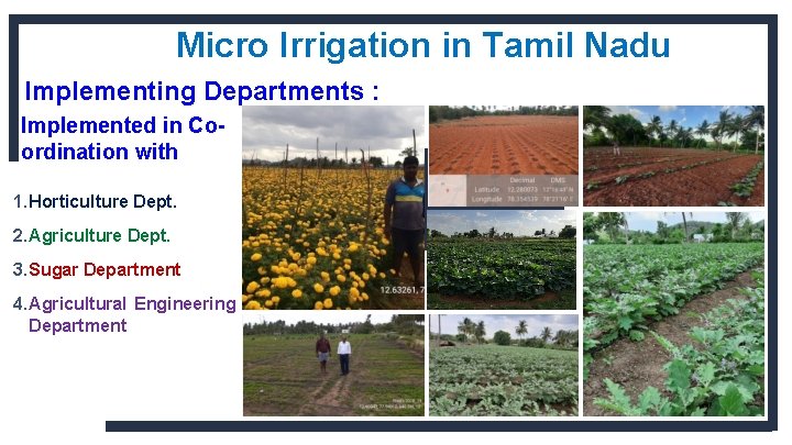 Micro Irrigation in Tamil Nadu Implementing Departments : Implemented in Coordination with 1. Horticulture