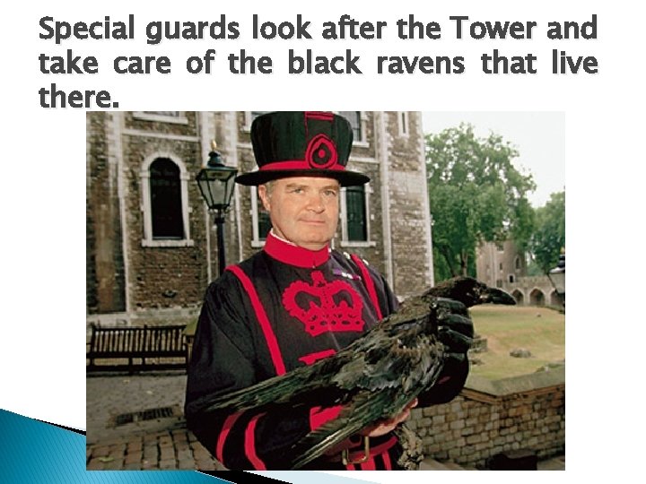 Special guards look after the Tower and take care of the black ravens that