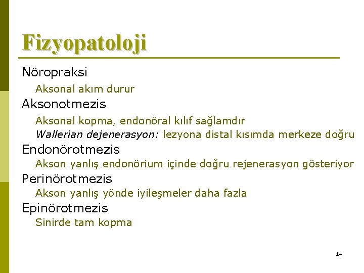 Fizyopatoloji Nöropraksi Aksonal akım durur Aksonotmezis Aksonal kopma, endonöral kılıf sağlamdır Wallerian dejenerasyon: lezyona