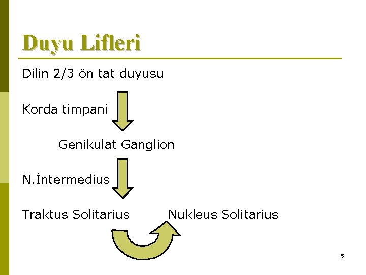 Duyu Lifleri Dilin 2/3 ön tat duyusu Korda timpani Genikulat Ganglion N. İntermedius Traktus