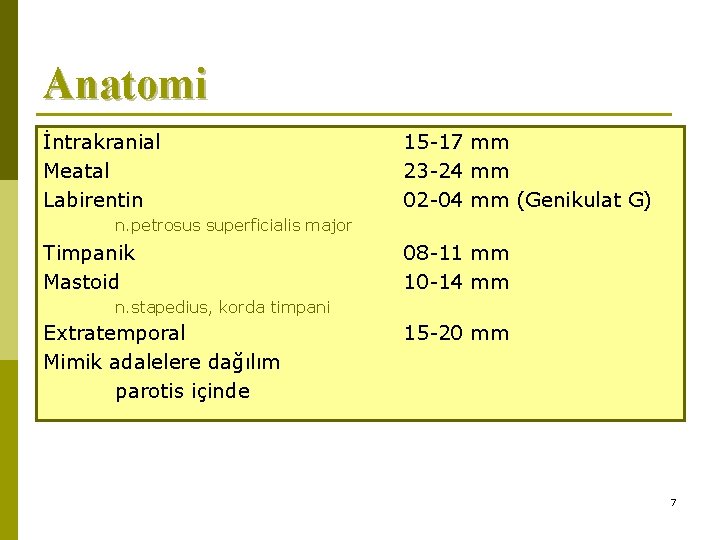 Anatomi İntrakranial Meatal Labirentin 15 -17 mm 23 -24 mm 02 -04 mm (Genikulat