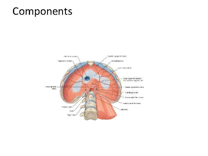 Components Components