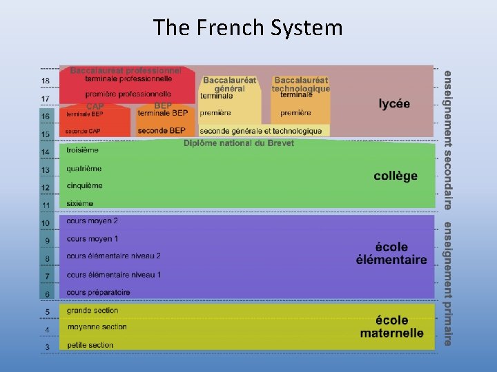 The French System 