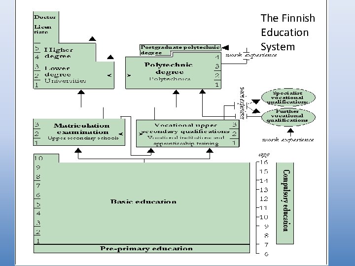 The Finnish Education System 