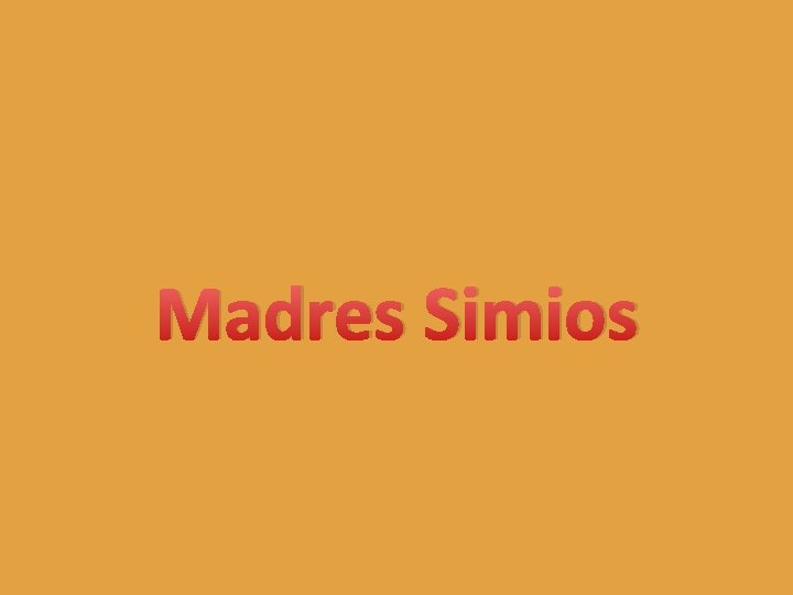 Madres Simios 