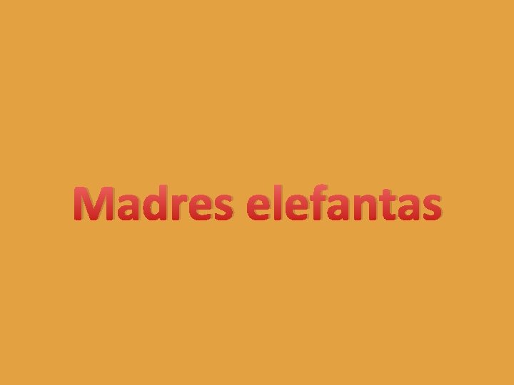 Madres elefantas 