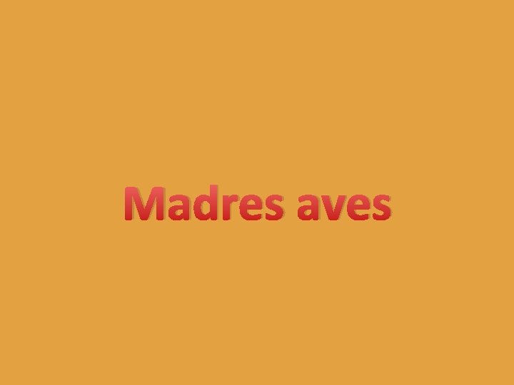 Madres aves 