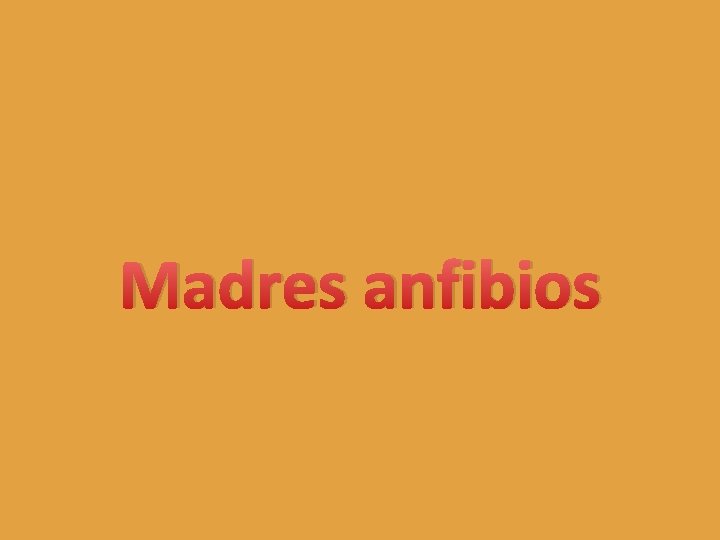 Madres anfibios 