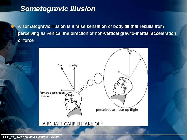 Somatogravic illusion l A somatogravic illusion is a false sensation of body tilt that