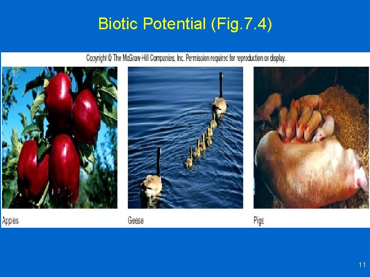 Biotic Potential (Fig. 7. 4) 11 