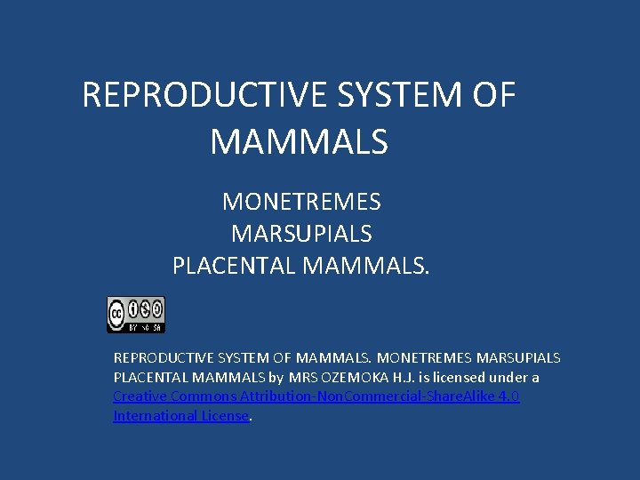 REPRODUCTIVE SYSTEM OF MAMMALS MONETREMES MARSUPIALS PLACENTAL MAMMALS. REPRODUCTIVE SYSTEM OF MAMMALS. MONETREMES MARSUPIALS