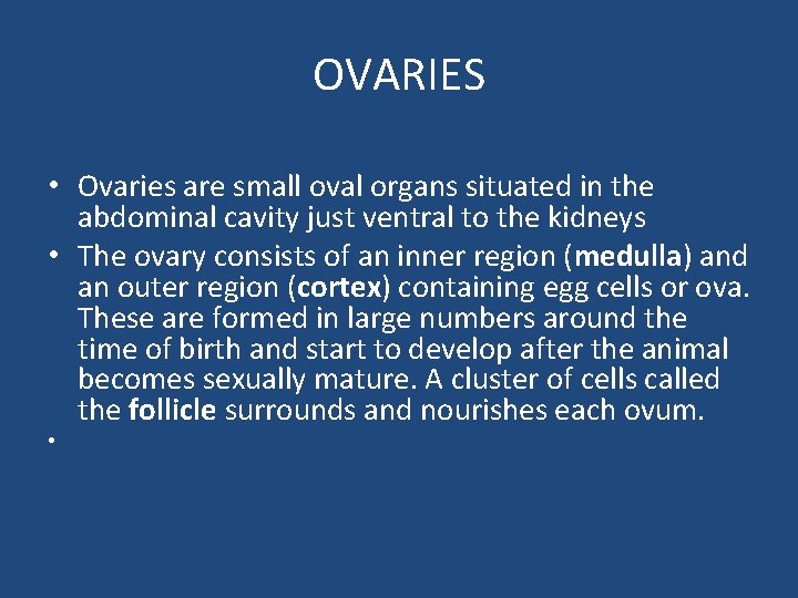 OVARIES • Ovaries are small oval organs situated in the abdominal cavity just ventral