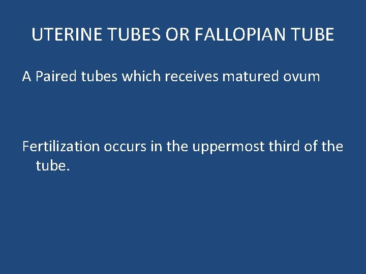 UTERINE TUBES OR FALLOPIAN TUBE A Paired tubes which receives matured ovum Fertilization occurs